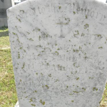 WIGGETT Samuel Martin 1877-1878