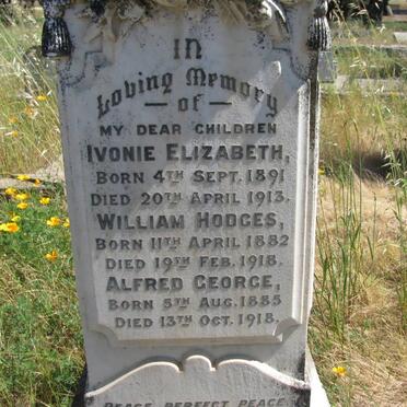 UREN William Hodges 1882-1918 :: UREN Ivonie Elizabeth 1891-1913 :: UREN Alfred George 1885-1918