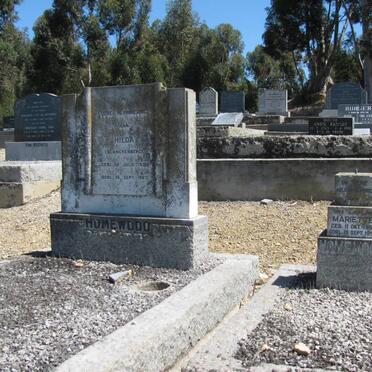 HOMEWOOD :: BLANCKENBERG