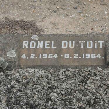 TOIT Ronel, du 1964-1964