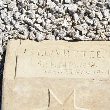 STEMMET Alwyntjie 1941-1943