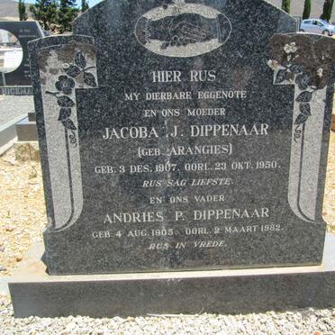 DIPPENAAR Andries P. 1905-1982 &amp; Jacoba J. ARANGIES 1907-1950