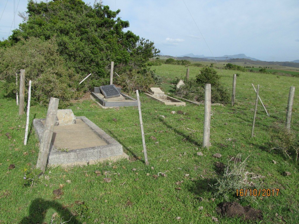 1. Overview