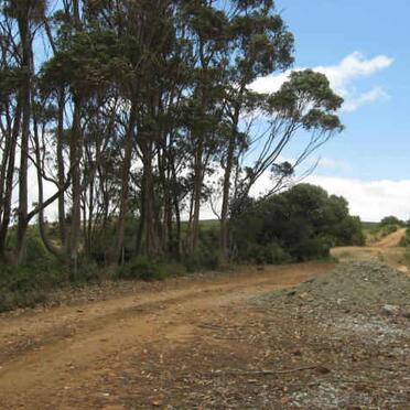 1. Road to cemetery