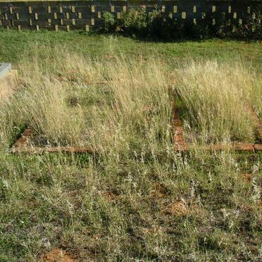 ? Graves unmarked