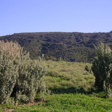 1. Overview