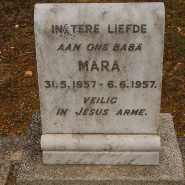 ALBERTS Thomas 1917-1999 :: ALBERTS Mara 1957-1957