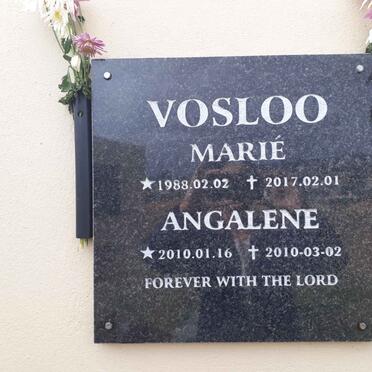 VOSLOO Marie 1988-2017 :: VOSLOO Angalene 2010-2010