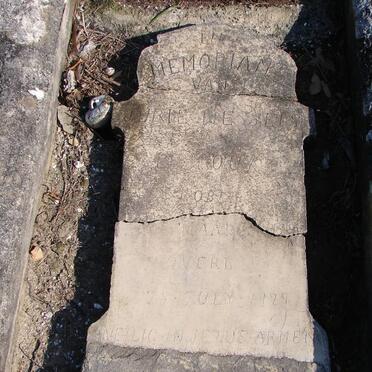 ROUX Jurie Wessels, le 1929-1929