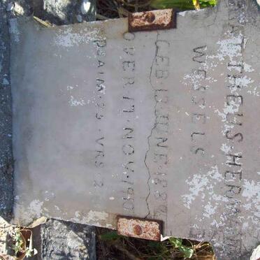 WESSELS Mattheus Herman 1889-1910