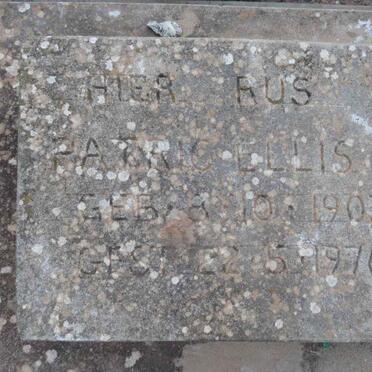 El - Surnames starting with the letters El