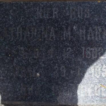 HARMSEN Catharina M. 1882-1958