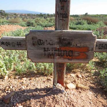 HURLING David ? 1944-2011