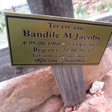 JACOBS Bandile M. 1980-2013