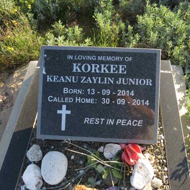 KORKEE Keanu Zaylin Junior 2014-2014