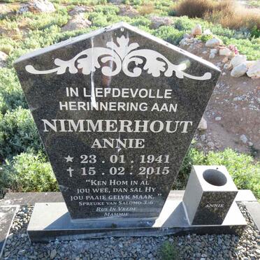 Ni - Surnames starting with the letters Ni 