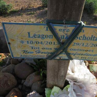 SCHOLTZ Leagon Luke 2013-2014