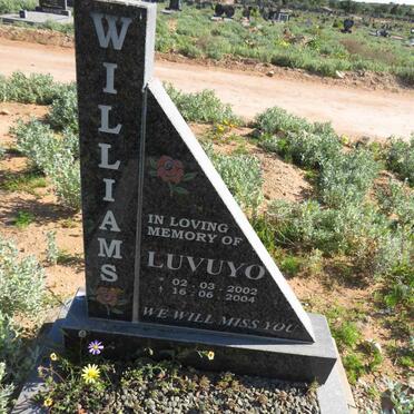WILLIAMS Luvuyo 2002-2004