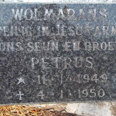 WOLMARANS Petrus 1949-1950