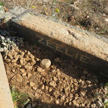 ZEELIE Stephanus Jacobus 1897-1965 _2