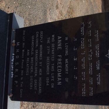 FREEDMAN Anne  -1984