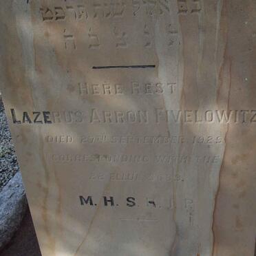 FIVELOWITZ Lazerus Arron -1929 