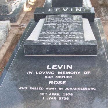 LEVIN Rose  -1976