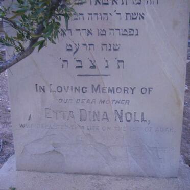 NOLL Etta Dina