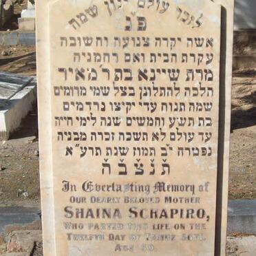 SCHAPIRO Shaina -5671