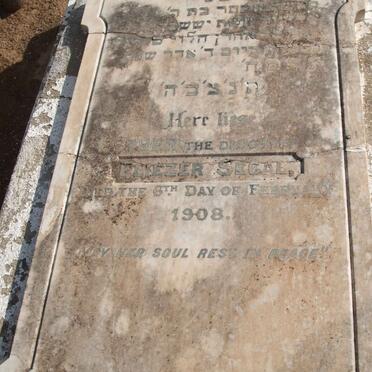 SEGAL Eliezer -1908