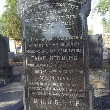 STRIMLING Faive  -1956 
