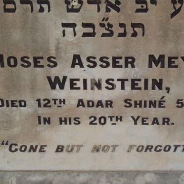 WEINSTEIN Moses Asser Meyer  -5668