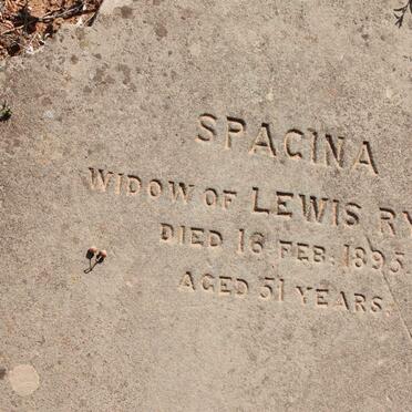 RYAN Spacina -1895