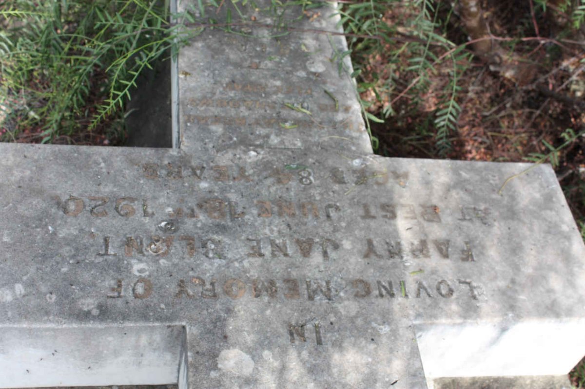 BLANT Fanny Jane -1920