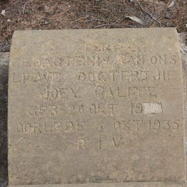 CALITZ Joey 1928-1935