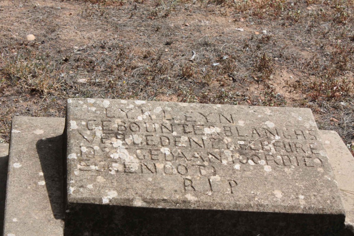 KLEYN L.Y. -1925