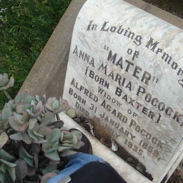 POCOCK Anna Maria nee BAXTER 1859-1935