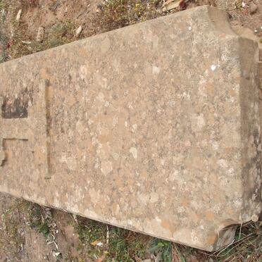 TUDOR Anne Catherine Kane -1898