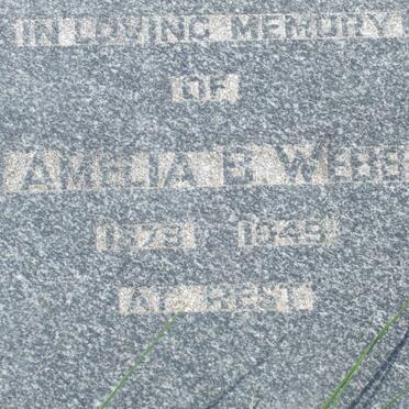 WEBB Amelia B. 1879-1949