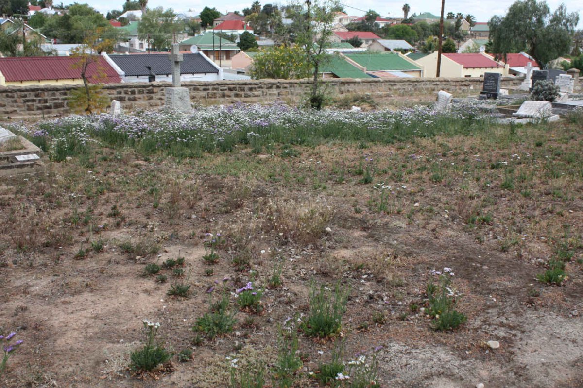 2. Overview from the cemetery over Oudsthoorn