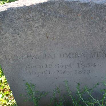 M - Surnames :: Vanne - M