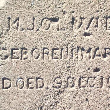 OLIVIER M.J. 1901-1903