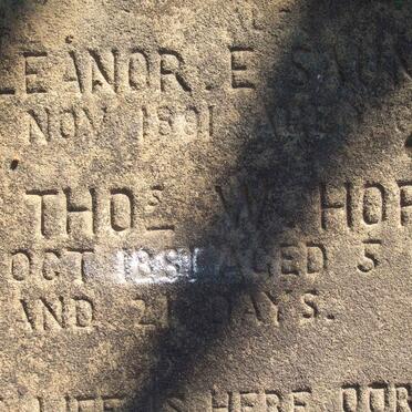 SAUNDERS Eleanor E. -1891 :: HORN T.W. -1891 :: ? John - 1891 