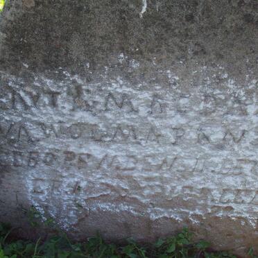 WOLMARANS ? Magdalena