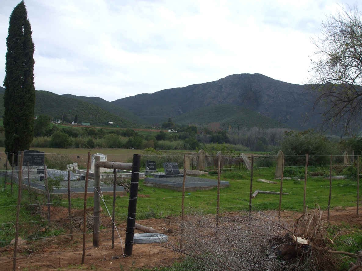 1. Overview on the cemetery