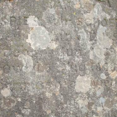 SPIES R. C. nee SCHOEMAN 1839-1889