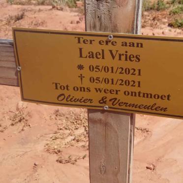VRIES Lael 2021-2021