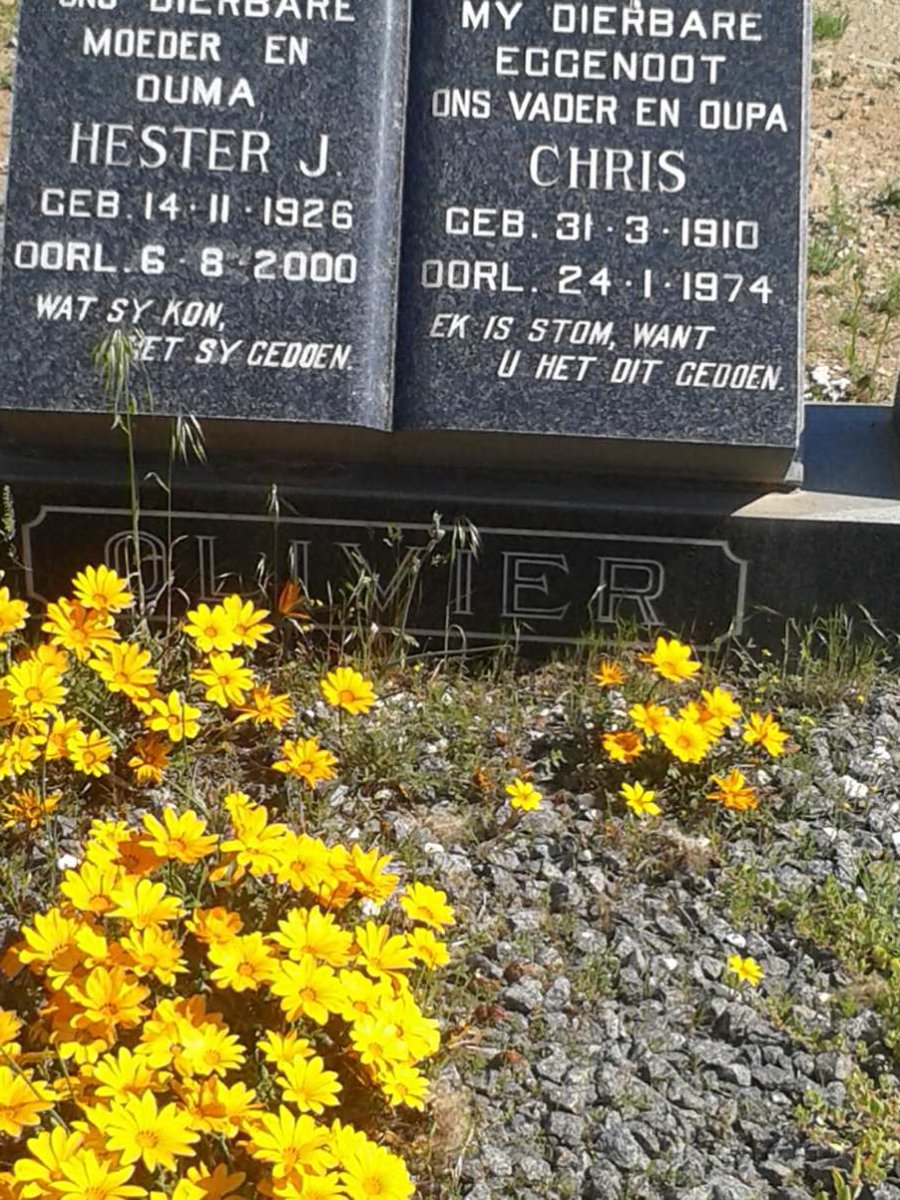 OLIVIER Chris 1910-1974 & Hester J. 1926-2000