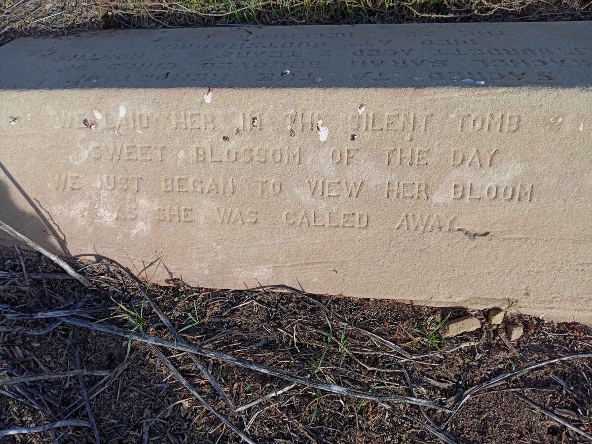 BURDETT Rachel Sarah -1878 _2