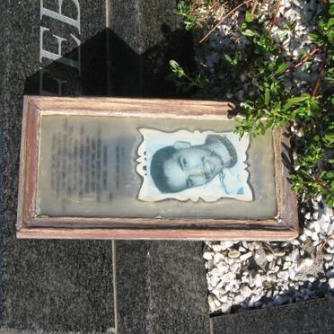 FEBRUARY Bradley 1978-2000